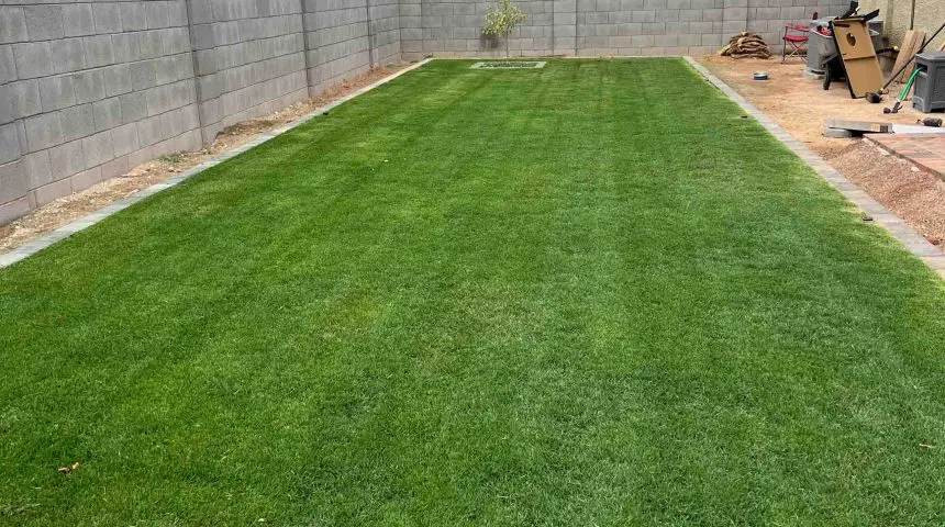 Buckeye, AZ Landscape Maintenance Company