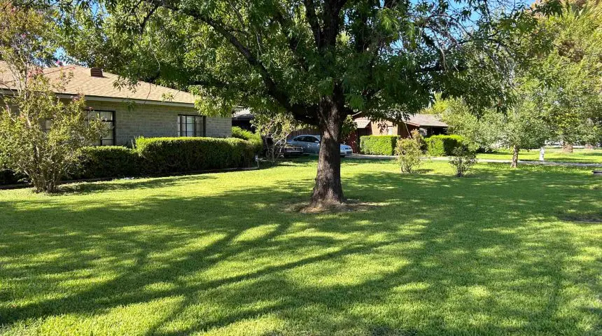 Buckeye, AZ Landscape Maintenance Company