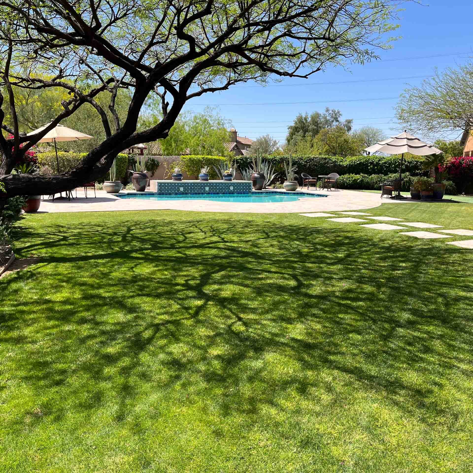 Goodyear, AZ Landscape Maintenance Goodyear, AZ Landscape Maintenance